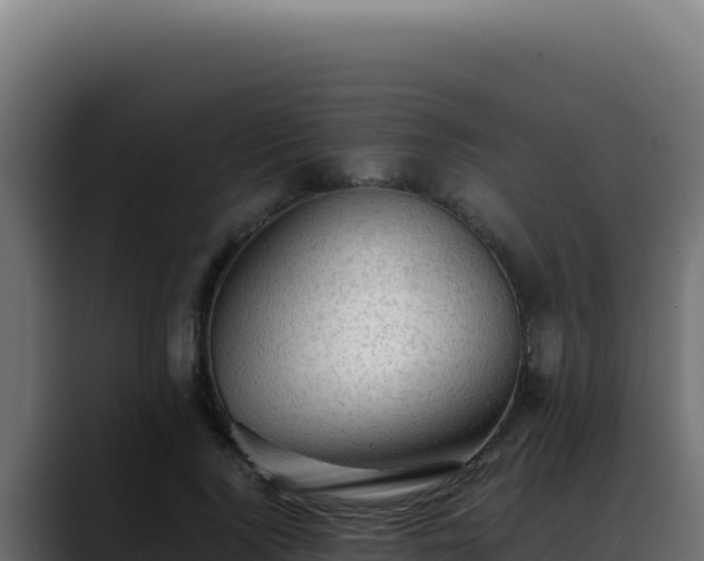 X0000088400740200705291428