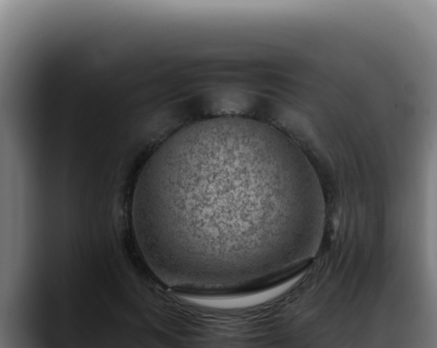 X0000088400743200705291428