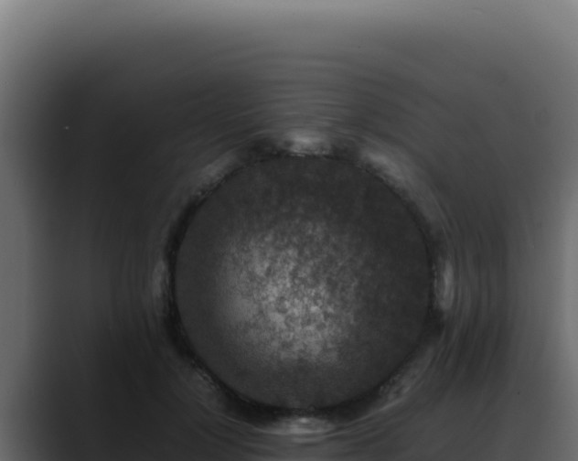 X0000088400748200705291428