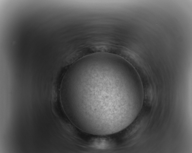 X0000088400751200705291428