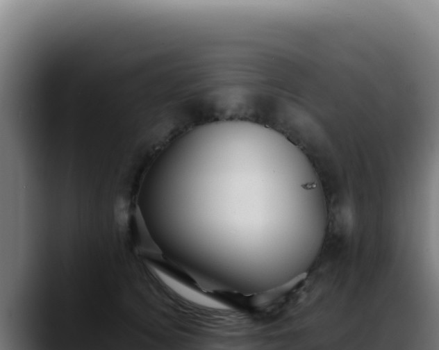 X0000088400756200705291428