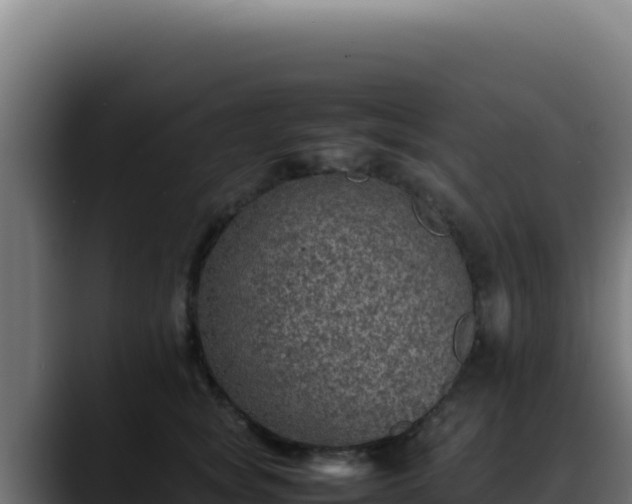 X0000088400757200705291428