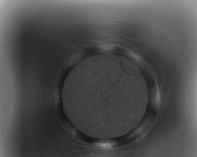 X0000088400758200705291428