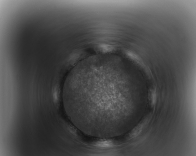 X0000088400760200705291428