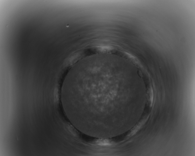 X0000088400762200705291429