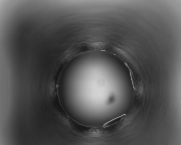 X0000088400764200705291429