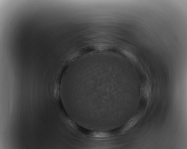 X0000088400766200705291429