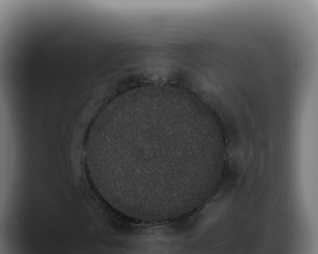 X0000088400769200705291428