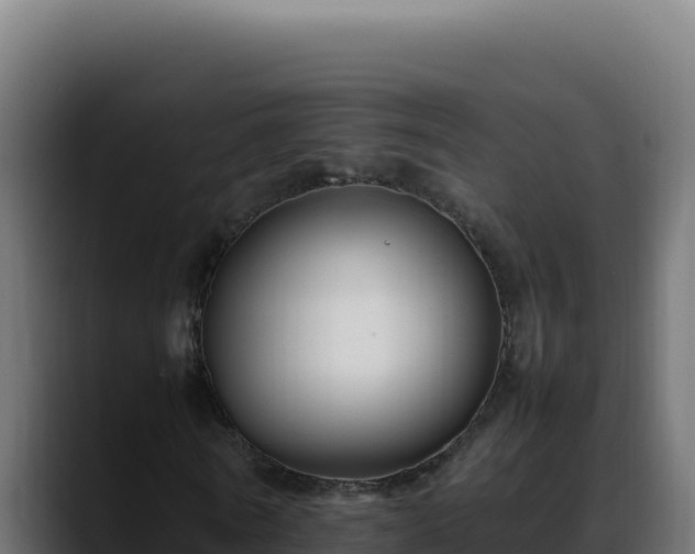 X0000088400770200705291428