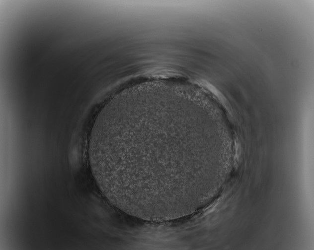 X0000088400775200705291428