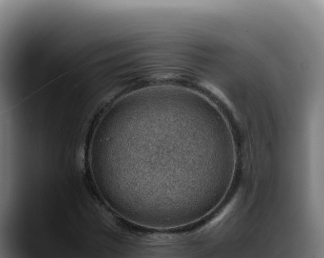 X0000088400777200705291428