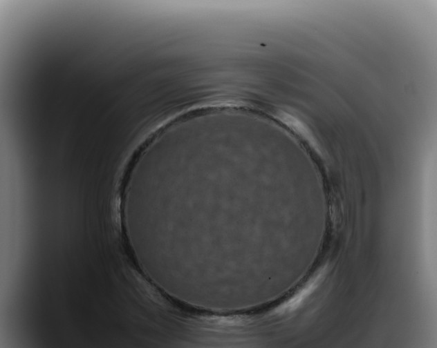 X0000088400781200705291428