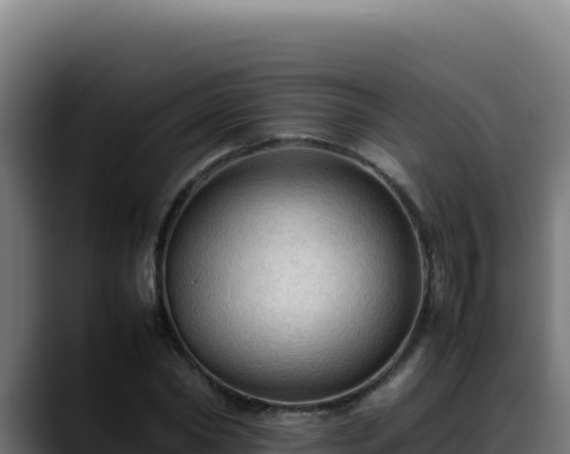 X0000088400782200705291428