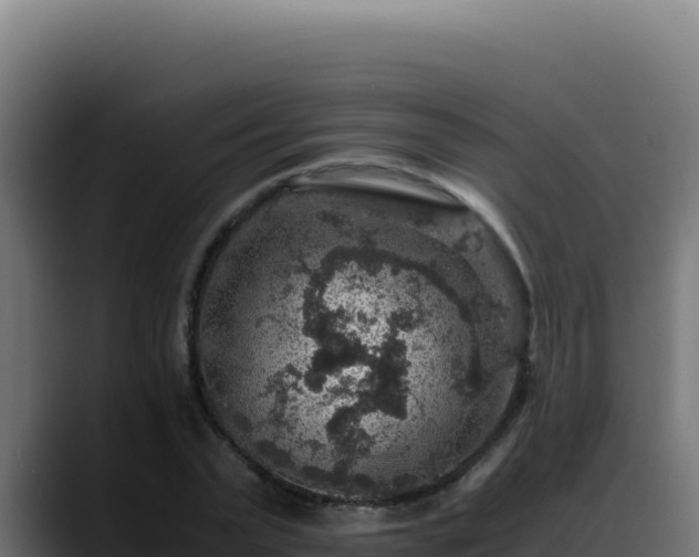 X0000088400783200705291428