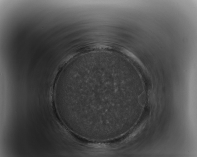 X0000088400785200705291428