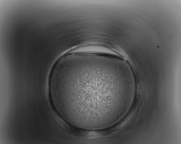 X0000088400787200705291428