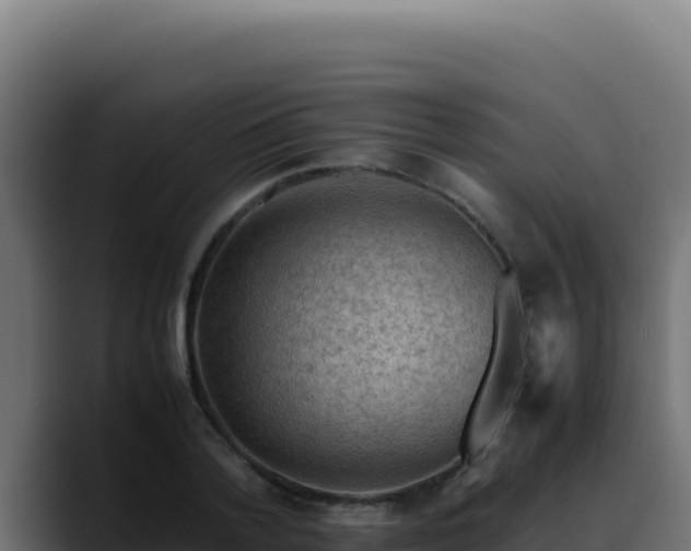 X0000088400788200705291428