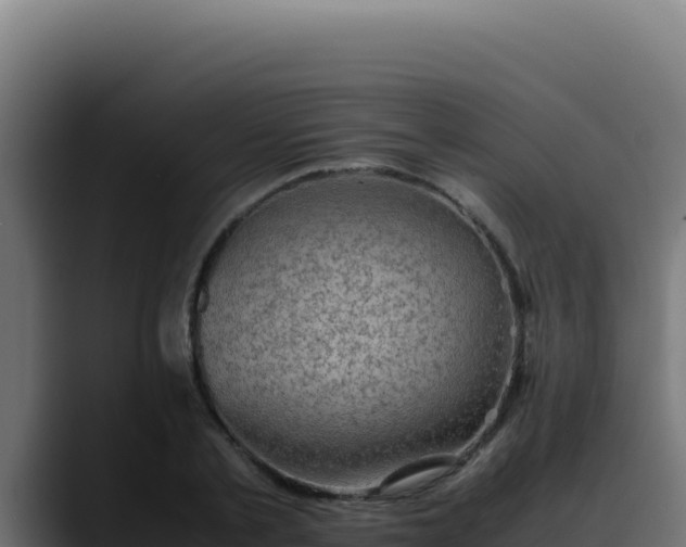 X0000088400789200705291428