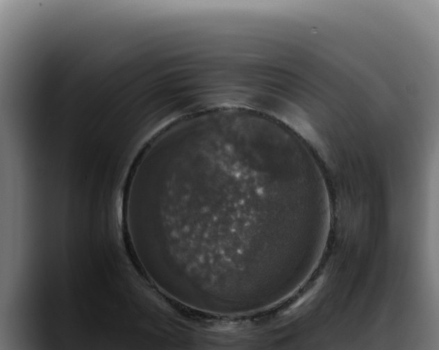 X0000088400790200705291428