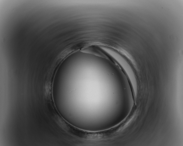 X0000088400793200705291428