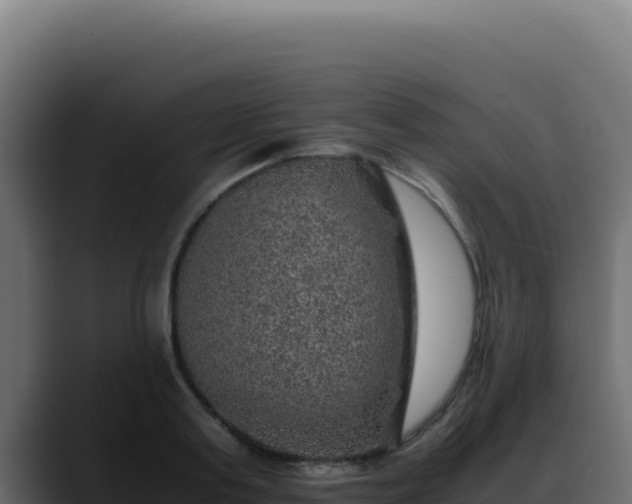 X0000088400795200705291428