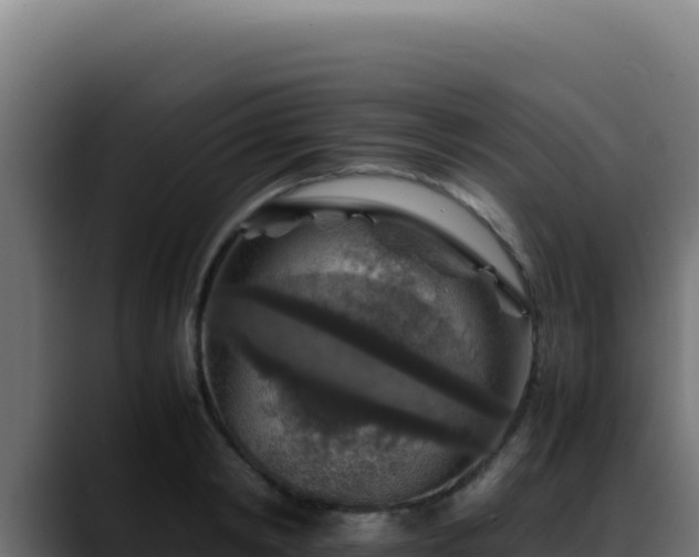 X0000088400798200705291428