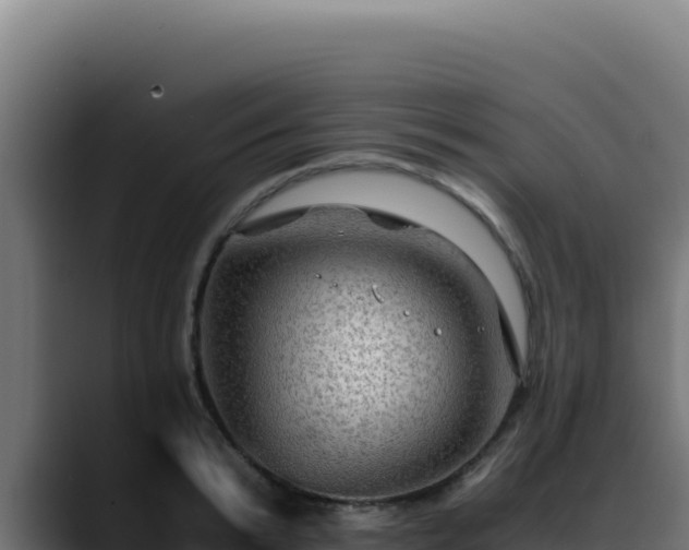 X0000088400799200705291428