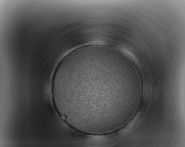 X0000088400800200705291428