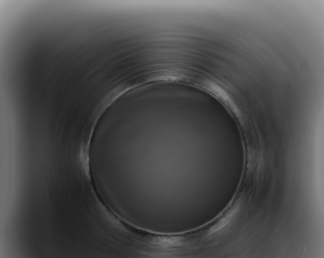 X0000088400802200705291428