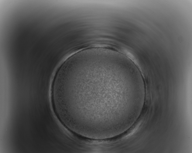 X0000088400803200705291428