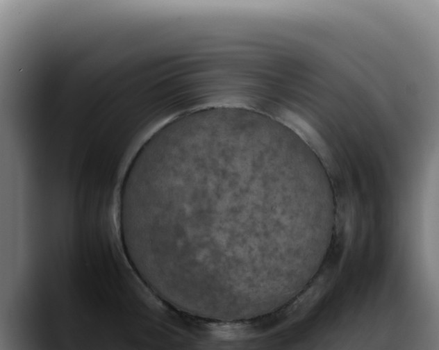 X0000088400804200705291428