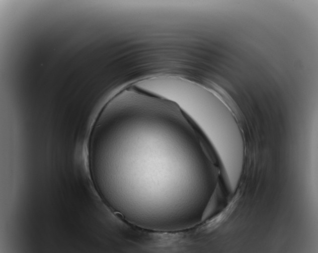 X0000088400812200705291427