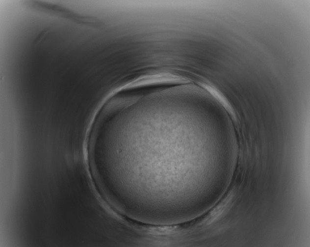 X0000088400813200705291427