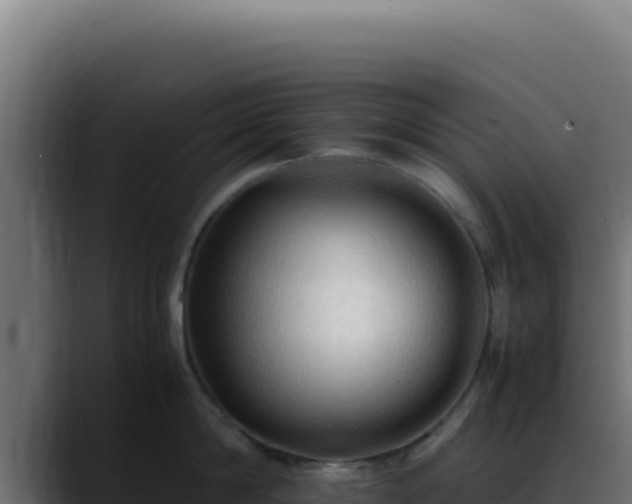 X0000088400814200705291427