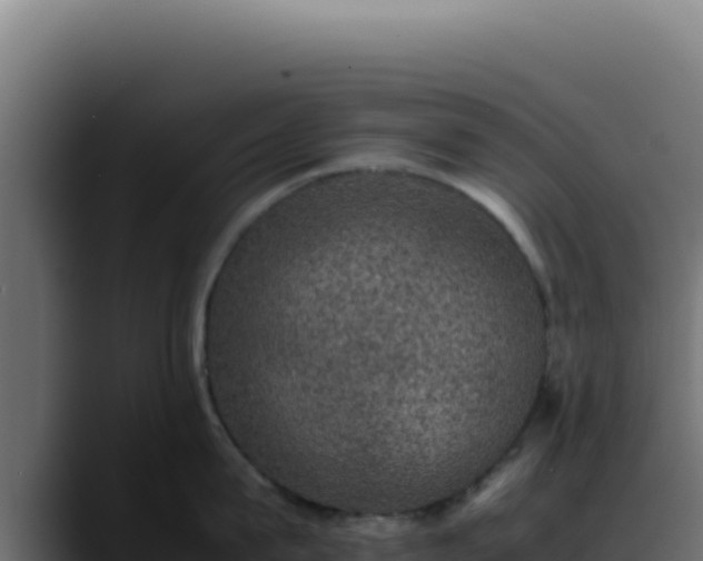 X0000088400815200705291427