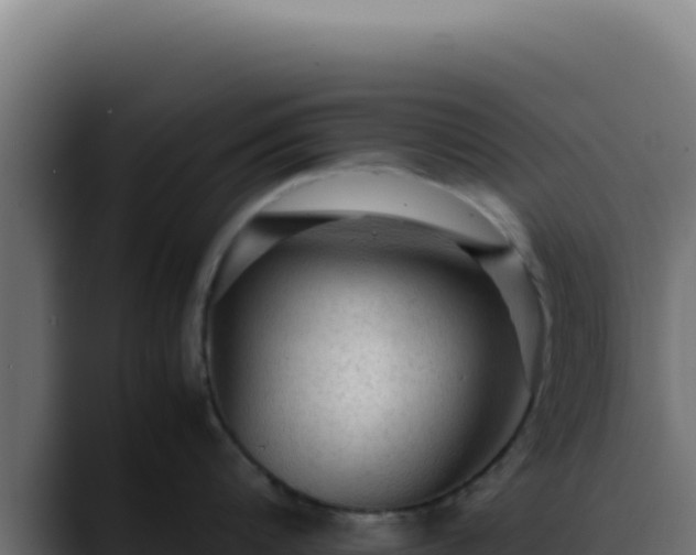 X0000088400816200705291427