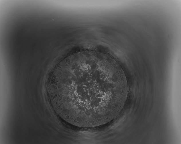 X0000088400817200705291427