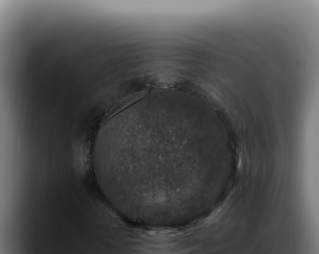 X0000088400818200705291427