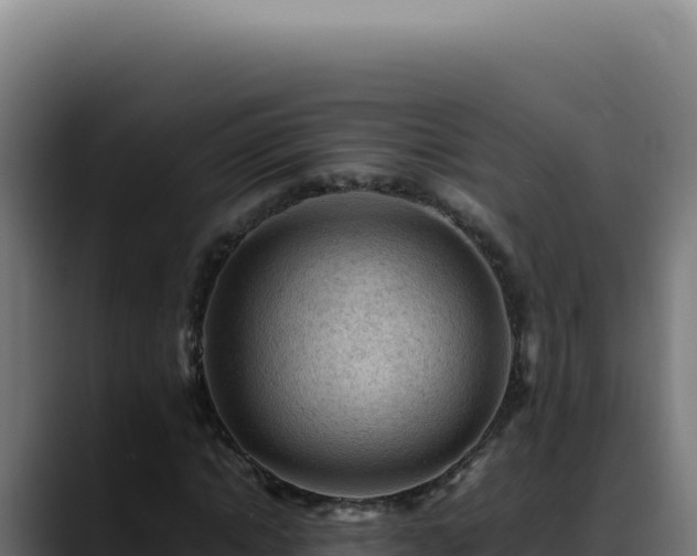 X0000088400822200705291427