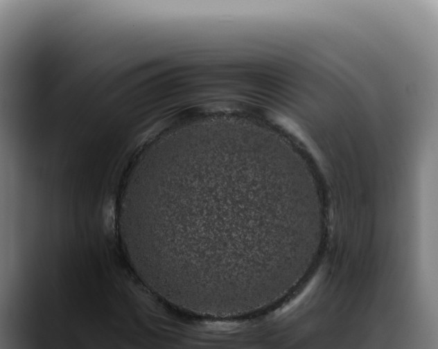 X0000088400825200705291427