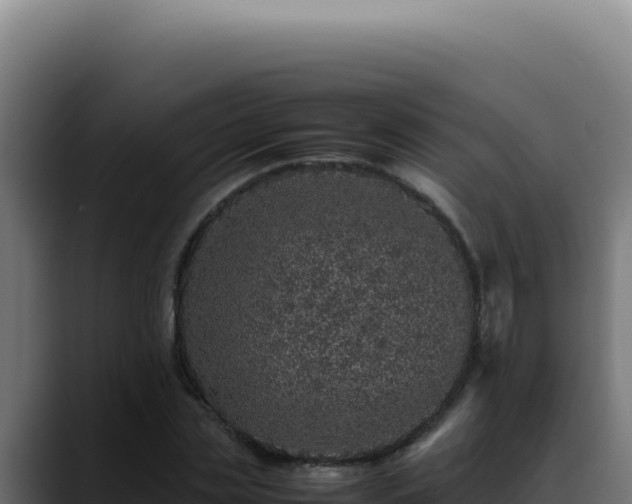 X0000088400829200705291427