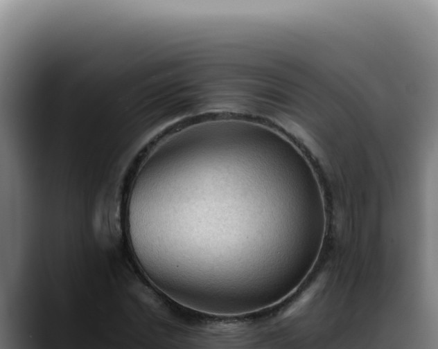 X0000088400830200705291427