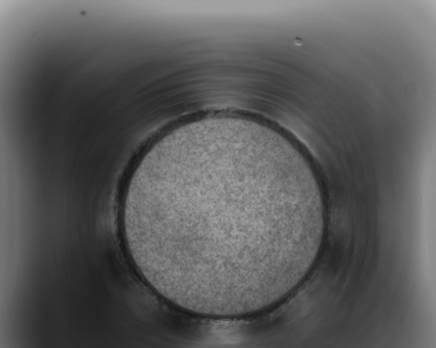 X0000088400832200705291427