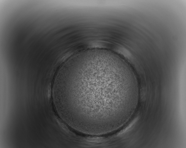 X0000088400833200705291427