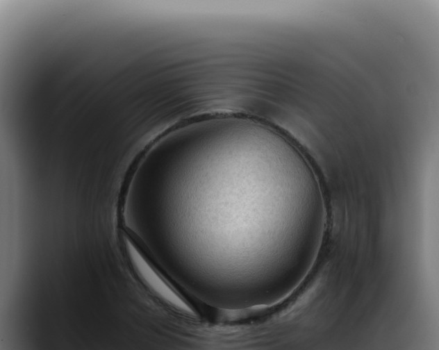 X0000088400834200705291427