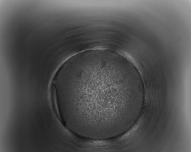 X0000088400835200705291427