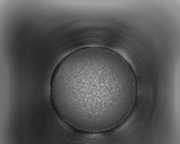 X0000088400837200705291427