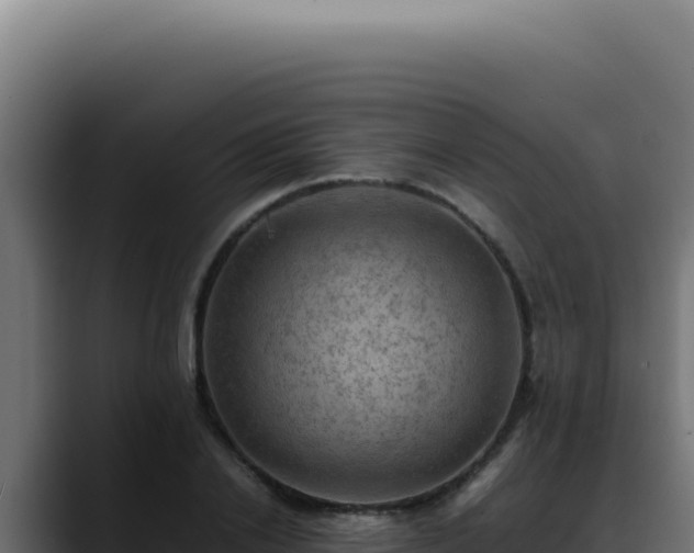 X0000088400838200705291427