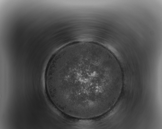 X0000088400840200705291427