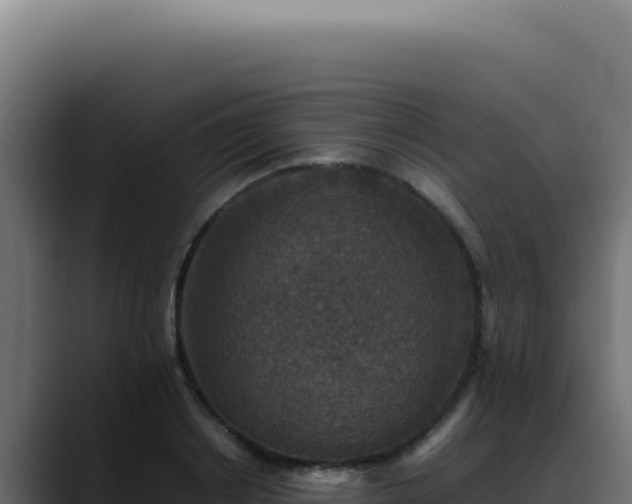 X0000088400842200705291427